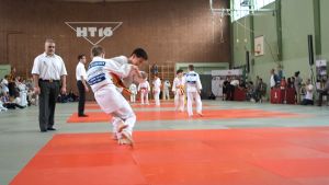 tl_files/judoka_stade/2016/Bilder/2016 05 Patte Kampf 2.jpg